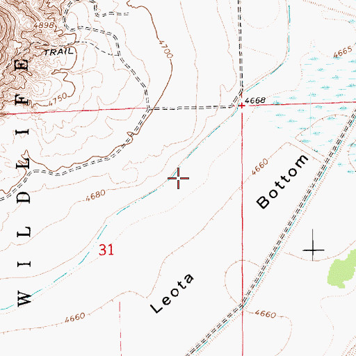 Topographic Map of Leota Bottom, UT