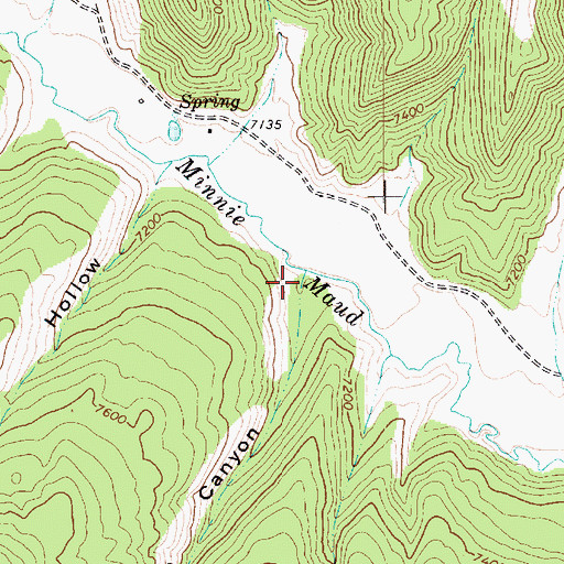 Topographic Map of Lion Canyon, UT