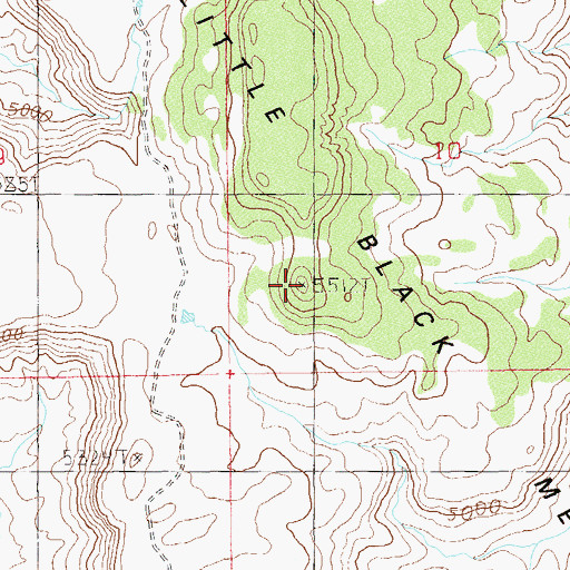 Topographic Map of Little Black Mesa, UT