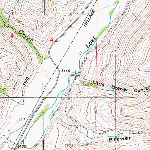 Topographic Map of Little Brewer Canyon, UT