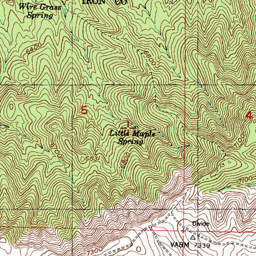 Topographic Map of Little Maple Spring, UT