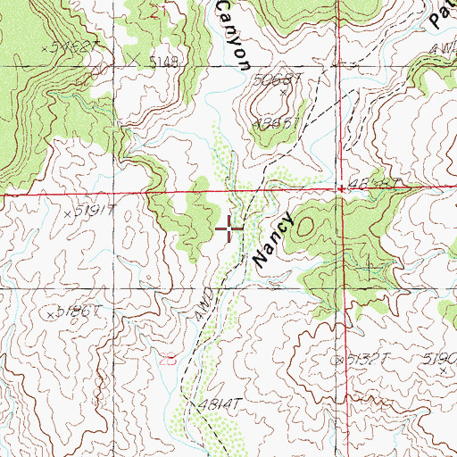 Topographic Map of Little Nancy Canyon, UT