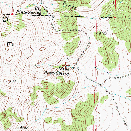 Topographic Map of Little Pinto Spring, UT