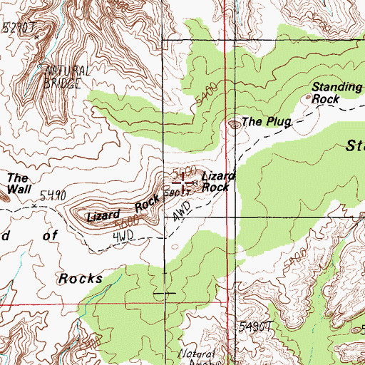 Topographic Map of Lizard Rock, UT
