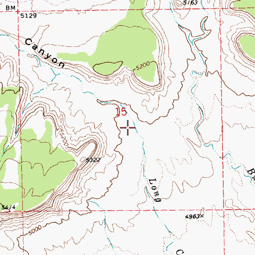 Topographic Map of Long Canyon, UT