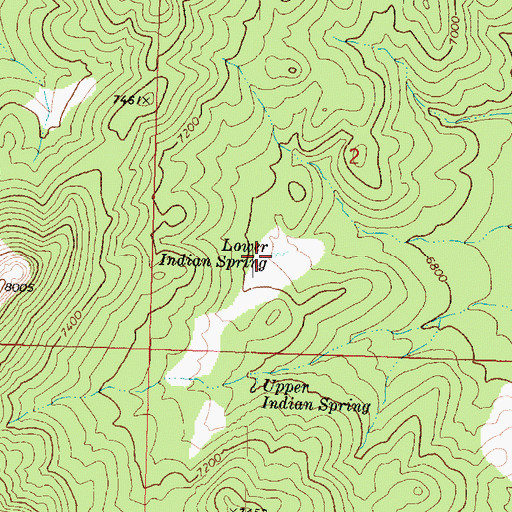 Topographic Map of Lower Indian Spring, UT