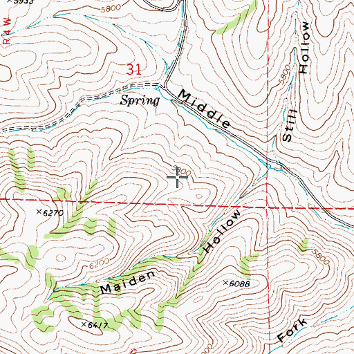 Topographic Map of Maiden Hollow, UT