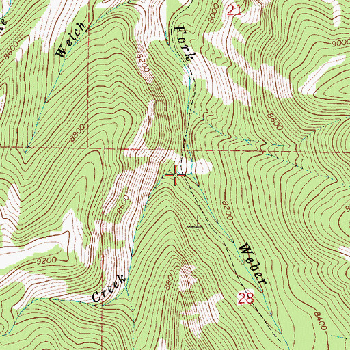 Topographic Map of Maxwells Creek, UT