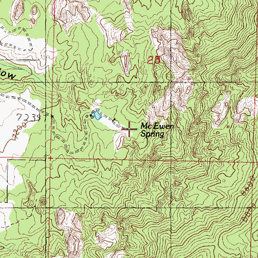 Topographic Map of McEwen Spring, UT