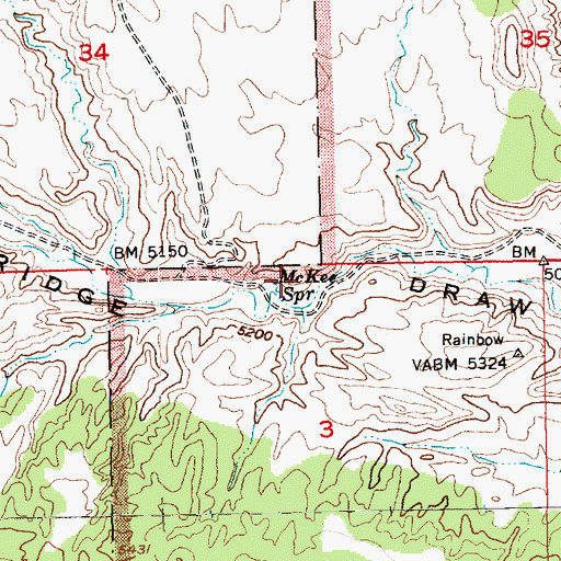Topographic Map of McKee Spring, UT