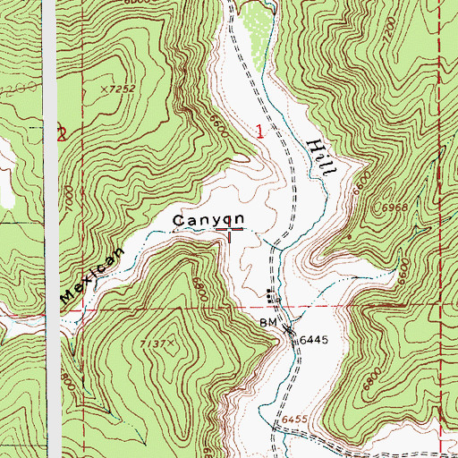 Topographic Map of Mexican Canyon, UT