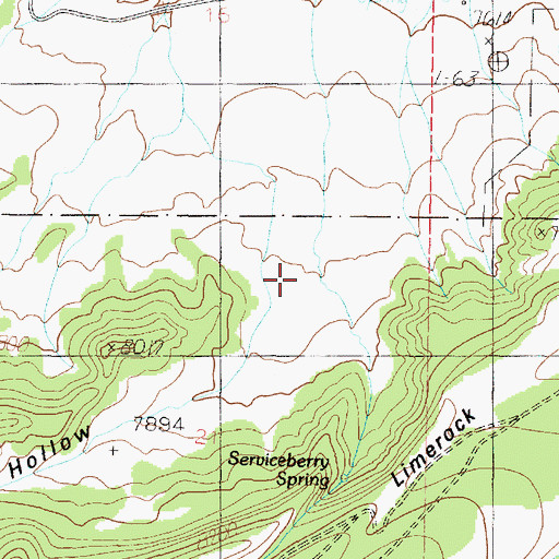 Topographic Map of Mexican Hollow, UT