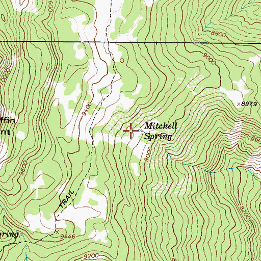 Topographic Map of Mitchell Spring, UT