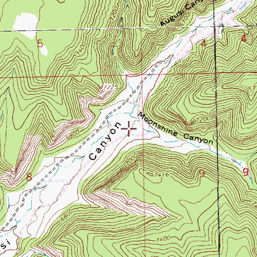 Topographic Map of Moonshine Canyon, UT