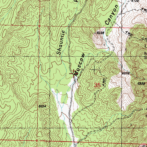 Topographic Map of Moscow Canyon, UT
