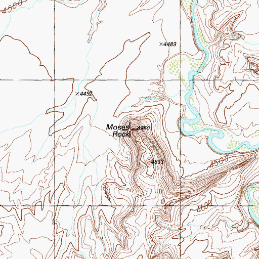 Topographic Map of Moses Rock, UT