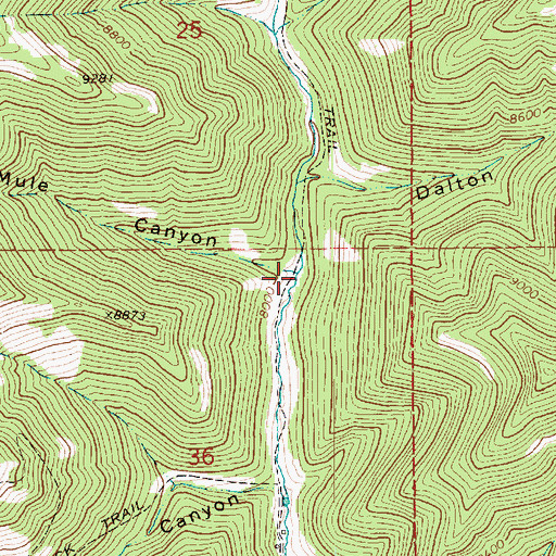 Topographic Map of Mule Canyon, UT