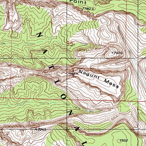 Topographic Map of Nagunt Mesa, UT