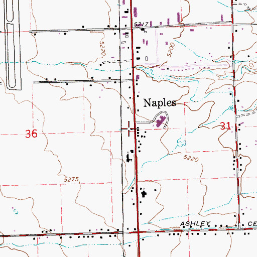 Topographic Map of Naples, UT
