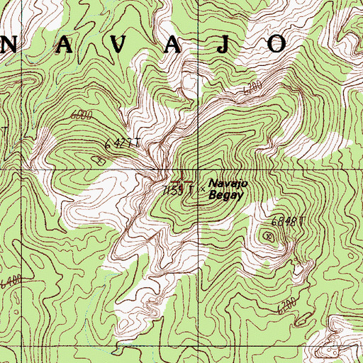 Topographic Map of Navajo Begay, UT