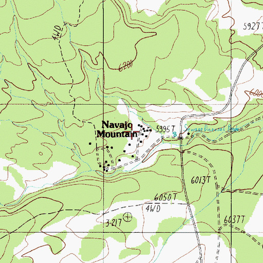 Topographic Map of Navajo Mountain School, UT