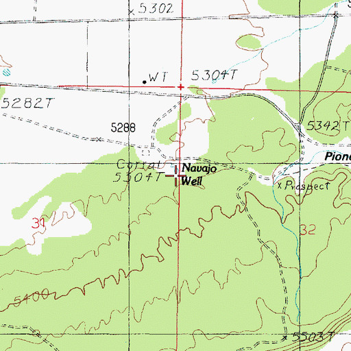 Topographic Map of Navajo Well, UT
