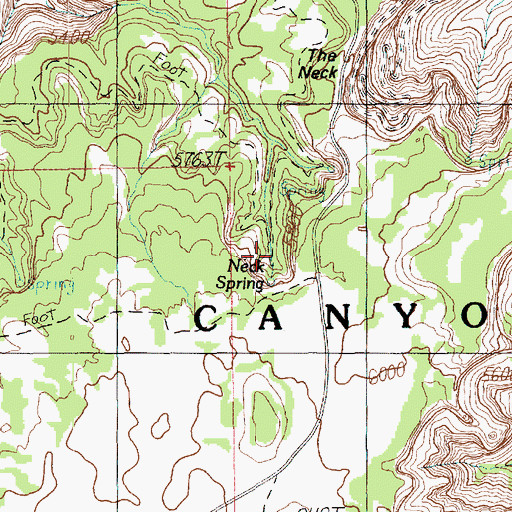 Topographic Map of Neck Spring, UT