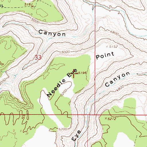 Topographic Map of Needle Eye Point, UT