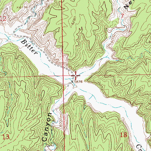 Topographic Map of Nelson Canyon, UT