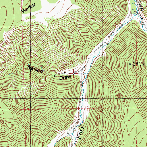 Topographic Map of Nelson Draw, UT