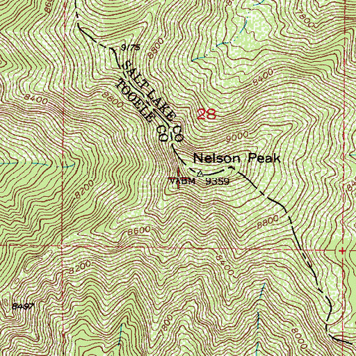 Topographic Map of Nelson Peak, UT