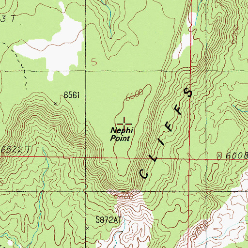 Topographic Map of Nephi Point, UT