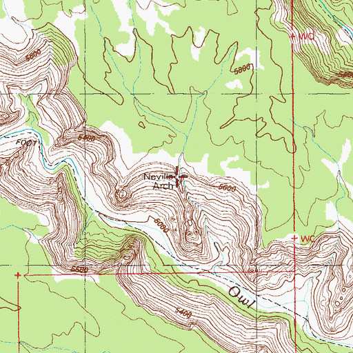 Topographic Map of Nevills Arch, UT