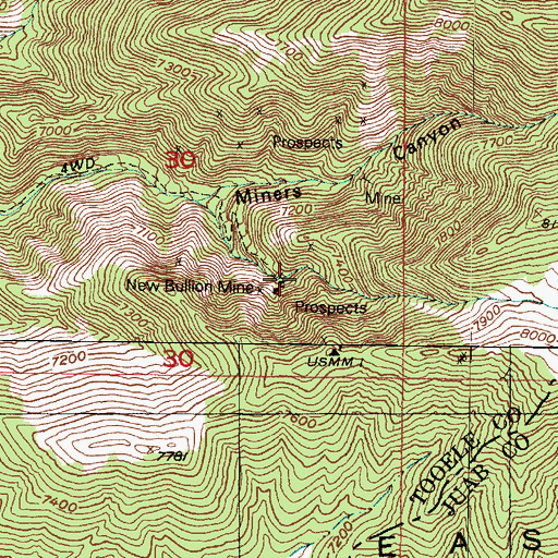 Topographic Map of New Bullion Mine, UT