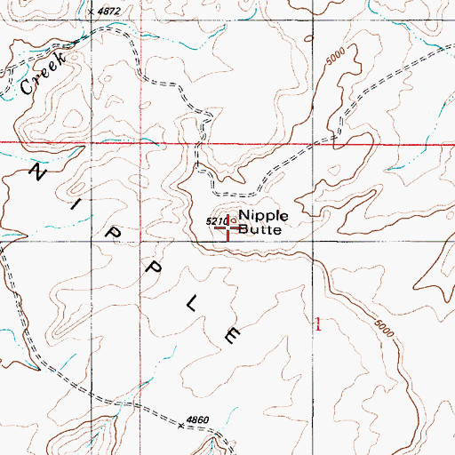 Topographic Map of Nipple Butte, UT