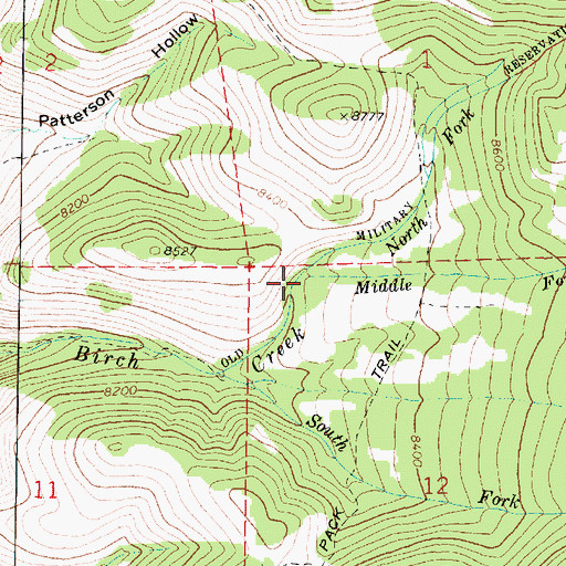 Topographic Map of North Fork Birch Creek, UT