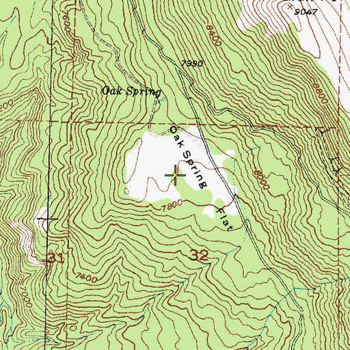 Topographic Map of Oak Spring Flat, UT