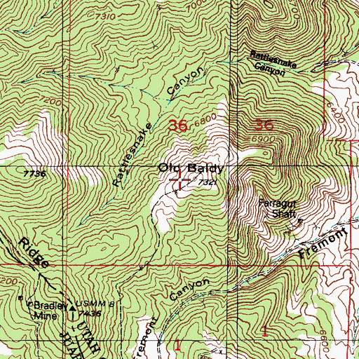Topographic Map of Old Baldy, UT