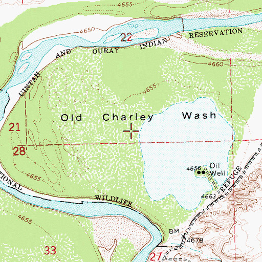 Topographic Map of Old Charley Wash, UT