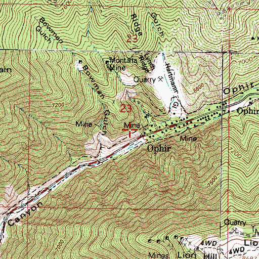 Topographic Map of Ophir, UT