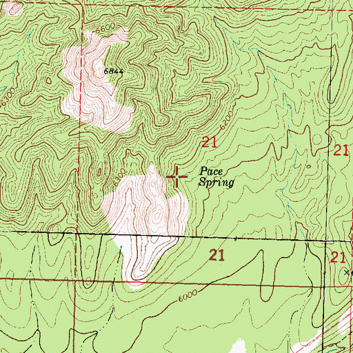 Topographic Map of Pace Spring, UT