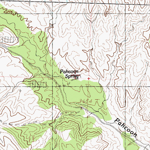 Topographic Map of Pahcoon Spring, UT