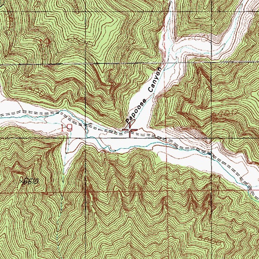 Topographic Map of Papoose Canyon, UT