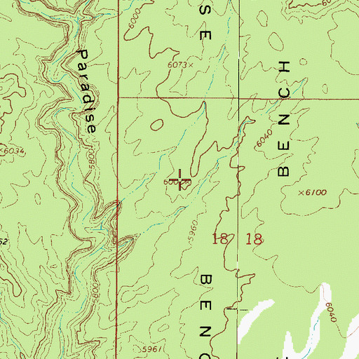 Topographic Map of Paradise Bench, UT