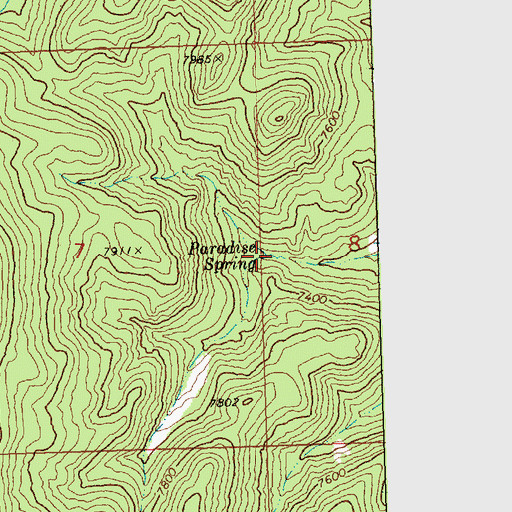 Topographic Map of Paradise Spring, UT