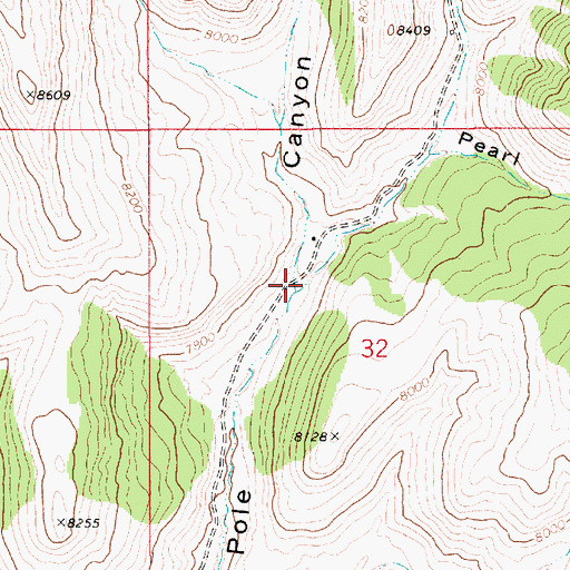 Topographic Map of Pearl Canyon, UT
