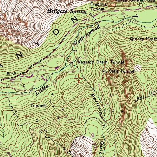 Topographic Map of Peruvian Gulch, UT