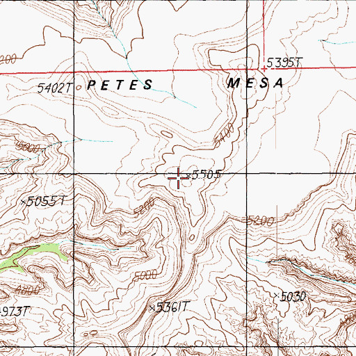 Topographic Map of Petes Mesa, UT