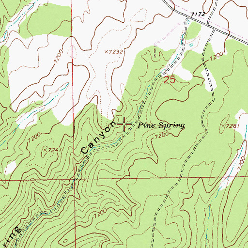 Topographic Map of Pine Spring, UT