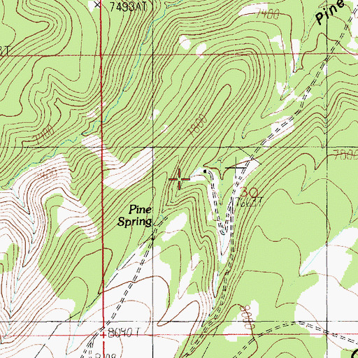 Topographic Map of Pine Spring, UT